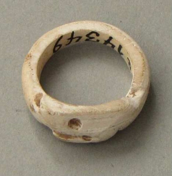 Shell ring