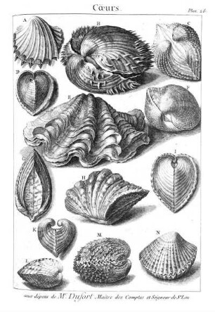 Plan. 26. Coeurs
