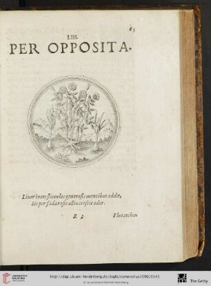 LIII. Per Opposita