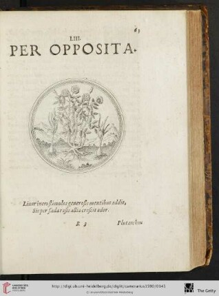 LIII. Per Opposita