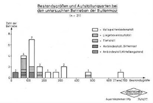 Bestandsgrößen und Aufstallungsarten bei den untersuchten Betrieben der Bullenmast (n = 21)