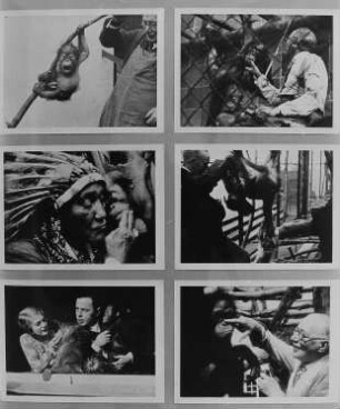 Ausstellungstafel mit Szenen aus dem Dokumentarfilm "Buschi", 1929. Dresden, Galerie Nord. Ausstellung "Borchert, Christian, Dresden - Bilder aus Dokumentarfilmen 1913–1949"