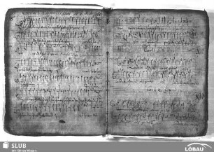 Anonymus: Laudate Dominum