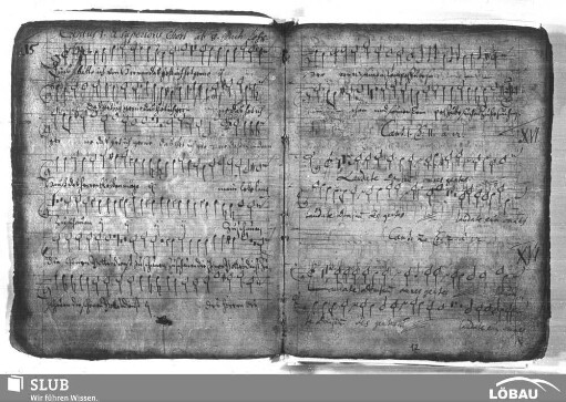 Anonymus: Laudate Dominum