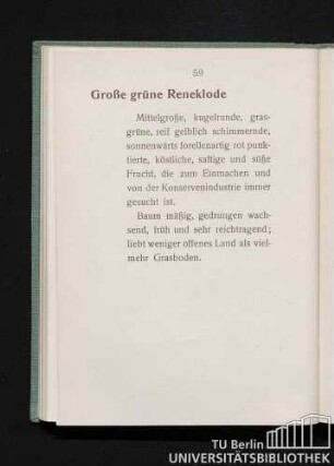 Große grüne Reneklode.