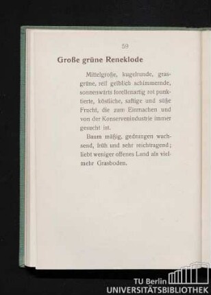 Große grüne Reneklode.