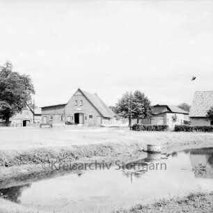 Dorfteich: Am Dorfplatz: Feuerlöschteich: rechts hinten Kanalisationsring im Wasser: hinten Bauernhäuser und Bäume