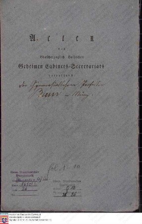 Baur, Franz, Professor am Mainzer Gymnasium