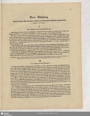 Erste Abtheilung [Theorie]