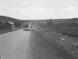 Schafherde auf der Straße (USA-Reise 1933)