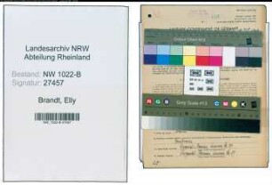Entnazifizierung Elly Brandt , geb. 06.04.1900 (Krankenschwester)