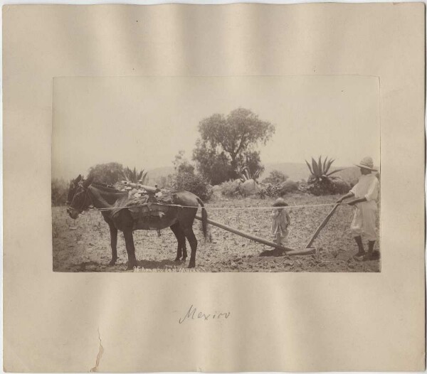 Farmer with plough