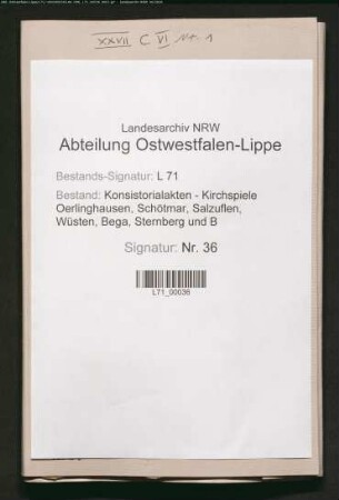 Pfarrei-Einkünfte und -Besitzungen