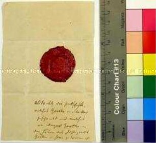 Abdruck eines Petschaftes auf rotem Siegellack mit dem Profil von Johann Wolfgang von Goethe