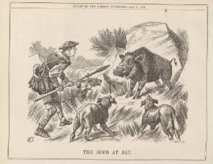 The Boer at Bay