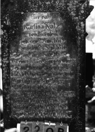 Grabstein 220 (Index: 99789755) Material: Sandstein und Marmor Zustand: gut, Schrift schwarz Maße HxBxT: 200x68x22 cm Symbolik: Konche, sechszackiger Stern, aufgeschlagenes Buch mit Inschrift: Psalmenbuch: Grabstein 220B