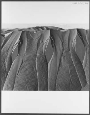 Sahara : Dünenformation in der nordafrikanischen Sahara