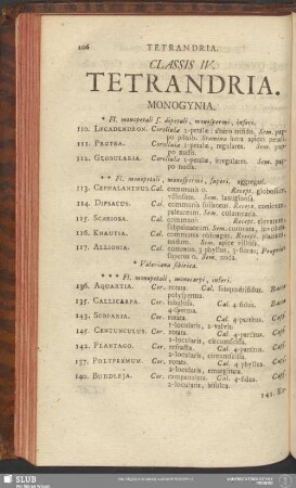 Classis IV. Tetrandria