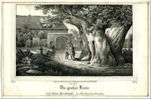 Die große Linde auf dem Kirchhofe zu Kaditz bei Dresden. 1839.