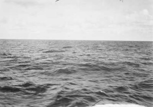 Meer : Blick vom Schiff aus auf das Meer