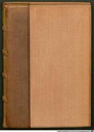 Die Königstochter von Frankreich