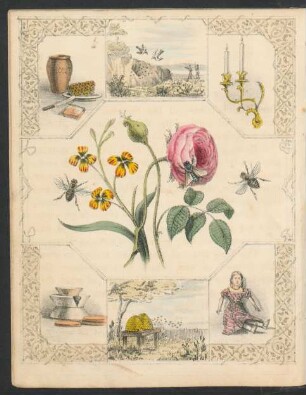 Tafel: [The bee.]