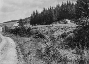 Fels auf Hang : Ein Mann posiert vor einem Felsbrocken, der am Fuße eines Hanges liegt, links eine Straße in ein Dorf, oberhalb Bergwald