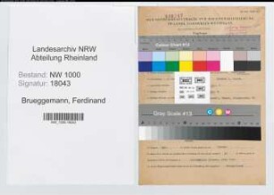Entnazifizierung Ferdinand Brueggemann, geb. 07.05.1892 (Angest.)