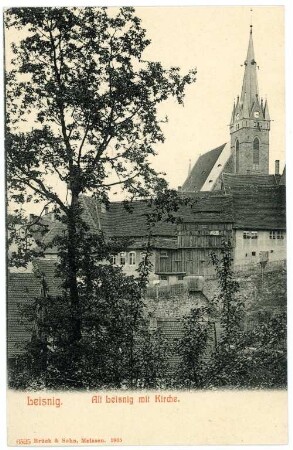 Leisnig. Alt-Leisnig mit Kirche