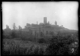 Burg Ravensburg Landschaftsbild mit Burg Ravensburg im Hindergrund