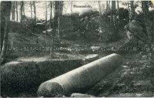 Ansicht einer "Riesensäule" im Wald