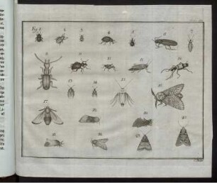 Fig. 1-23