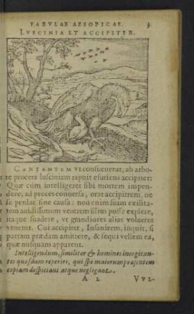 [S. 3 - 43]