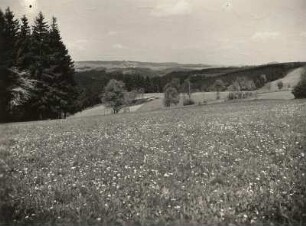 Müglitztal bei Bärenstein. Ansicht von Südosten nahe Liebenau