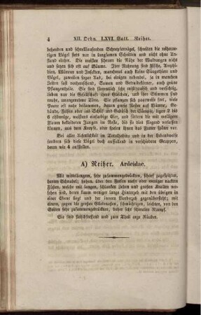 A) Reiher. Ardeidae.