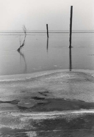 Winterzeit am Bodensee