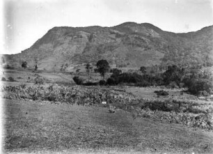 Der Magamba : Blick auf den Magamba in Tansania.