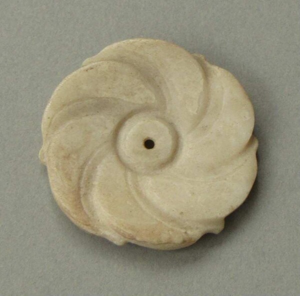 Shell ornament