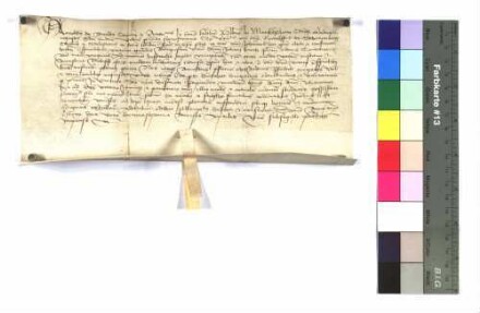 Arnold von Brende (de Brende), Kanoniker und Archidiakon (canonicus et Archidiaconus) der Kirche zu Würzburg (Herbipolensis) teilt dem Pfarrer zu Markelsheim (plebano In Marckelßheim) mit, daß er auf Anordnung von Rudolf von Schernberg (de Scheremberg), Karoniker, Domherr (canonicus et scolasticus) und Generalvikar (vicarius generalis) der Kirche zu Würzburg Herrn Johann Kriech, Presbyter vom Deutschen Orden zur Heiligen Jungfrau Maria (presbyter ordinis Theutonicorum beate marie virginis), als Vikar (ad vicariam) des Hospitals [vom Deutschen Ordens] in der Stadt Mergentheim (opidi mergentheim) einsetzt.