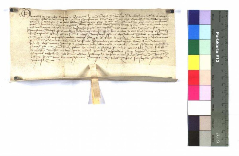 Arnold von Brende (de Brende), Kanoniker und Archidiakon (canonicus et Archidiaconus) der Kirche zu Würzburg (Herbipolensis) teilt dem Pfarrer zu Markelsheim (plebano In Marckelßheim) mit, daß er auf Anordnung von Rudolf von Schernberg (de Scheremberg), Karoniker, Domherr (canonicus et scolasticus) und Generalvikar (vicarius generalis) der Kirche zu Würzburg Herrn Johann Kriech, Presbyter vom Deutschen Orden zur Heiligen Jungfrau Maria (presbyter ordinis Theutonicorum beate marie virginis), als Vikar (ad vicariam) des Hospitals [vom Deutschen Ordens] in der Stadt Mergentheim (opidi mergentheim) einsetzt.