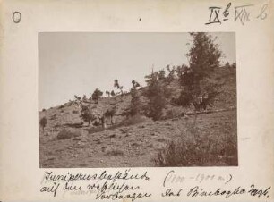Vorgebirge des Binboga Daglari : Westliche Vorberge der Bergkette Binboga Daglari auf 1800 - 1900 Meter Höhe.
