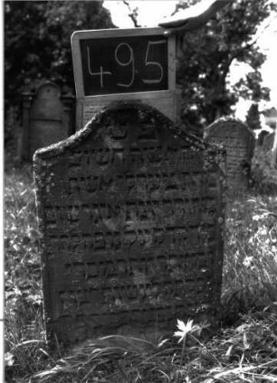 Grabstein 495 (Index: 100102638) Material: Sandstein Zustand: unten stark verwittert, abgeblättert, teilweiser Textverlust Maße HxBxT: 83x50x9 cm Beschreibung: Stele, Konvexbogenabschluss, Schriftfeld eingetieft: Grabstein 495