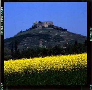 Die Burgruine in Staufen