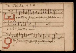 7. Magnificat 7. Ton.