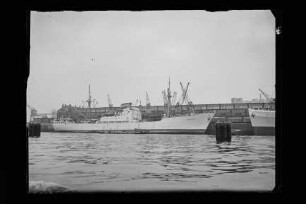 Neptun (1952), Neptun.- Dampfschifffahrts-Gesellschaft „Neptun“, Neptun Linie, D.G. "Neptun", Bremen