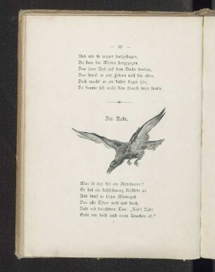 Der Rabe.