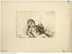 Putto