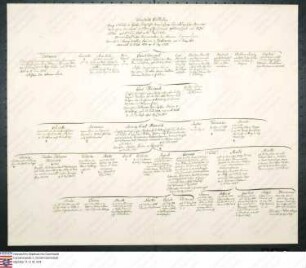 Stammtafel des Friedrich Wilhelm Graf v. Schlitz gen. v. Görtz