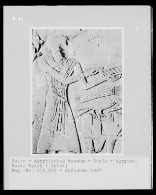 Stele