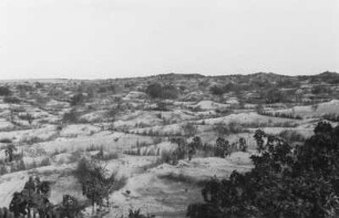 Umgebung von Tripolis : Blick über eine ebene Landschaft